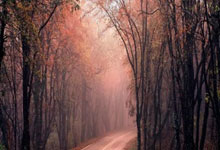 世界杯预测-基兰吉尔分析斯洛特的下课概率，维尔茨能否改踢后腰？