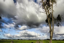 世界杯预测-基兰吉尔分析斯洛特的下课概率，维尔茨能否改踢后腰？