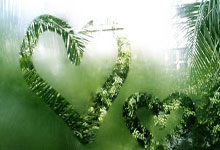 世界杯预测-基兰吉尔分析斯洛特的下课概率，维尔茨能否改踢后腰？