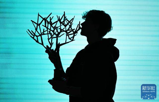 竞彩世界杯-网球丨巴黎大师赛：辛纳夺冠